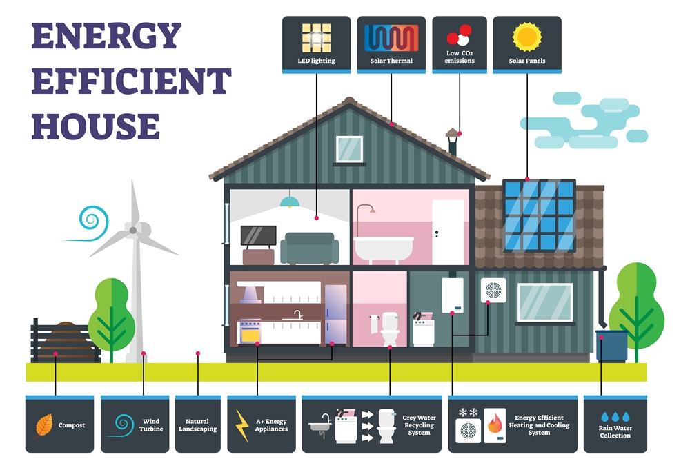 Sustainablity Services - Marlon Haus